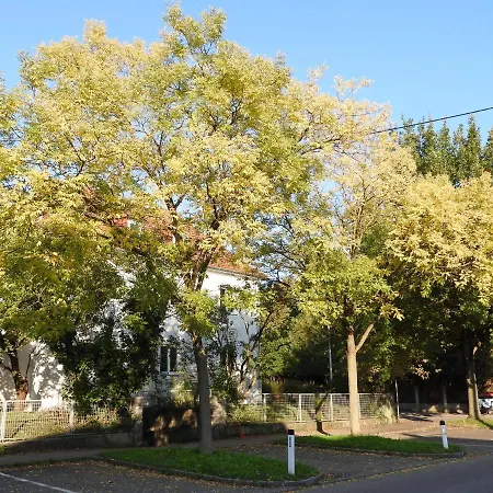 アパート Family Wohnen Mit Garten Am Fusse Des Poestlingbergs Lage Villenviertel リンツ