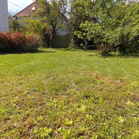 Apartamento Family Wohnen Mit Garten Am Fusse Des Poestlingbergs Lage Villenviertel