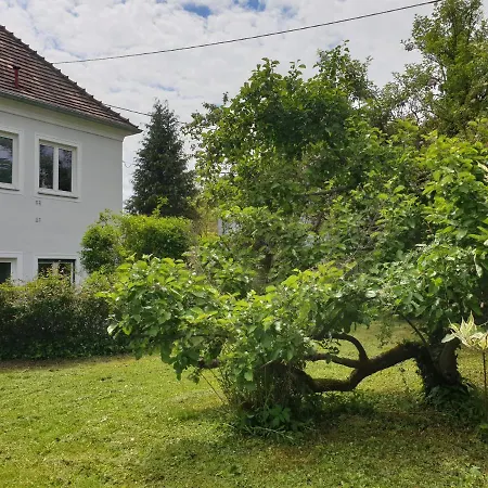 شقة Family Wohnen Mit Garten Am Fusse Des Poestlingbergs Lage Villenviertel *