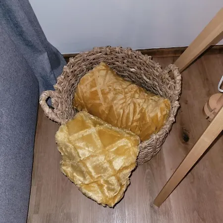 Family Wohnen Mit Garten Am Fusse Des Poestlingbergs Lage Villenviertel *