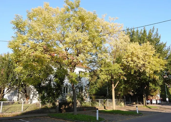 Apartmán Family Wohnen Mit Garten Am Fusse Des Poestlingbergs Lage Villenviertel Linec