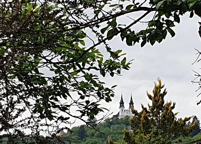 Family Wohnen Mit Garten Am Fusse Des Poestlingbergs Lage Villenviertel Apartmán