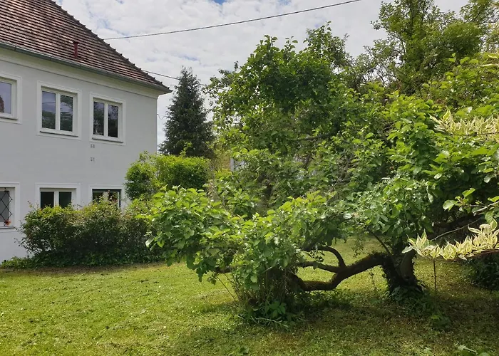 Apartmán Family Wohnen Mit Garten Am Fusse Des Poestlingbergs Lage Villenviertel *