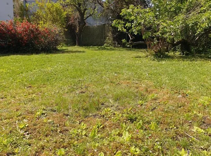 公寓 Family Wohnen Mit Garten Am Fusse Des Poestlingbergs Lage Villenviertel